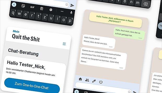 Screenshot zum Programm-Schritt: Einstieg