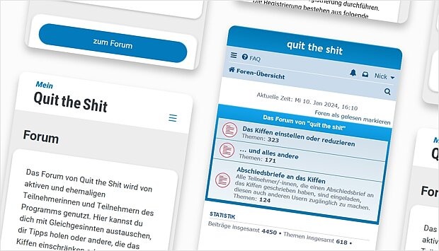 Screenshot zum Programm-Schritt: Forum