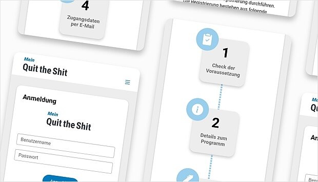 Screenshot zum Programm-Schritt: Einführung