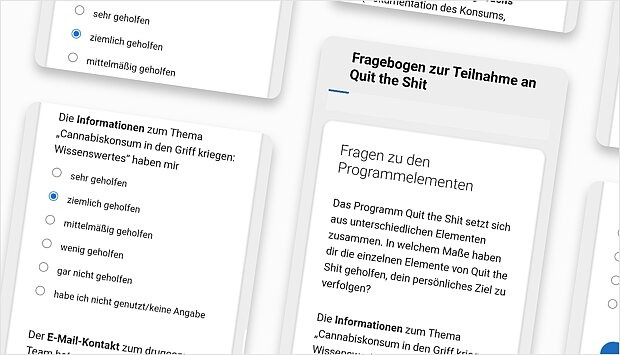 Screenshot zum Programm-Schritt: Nachbefragung