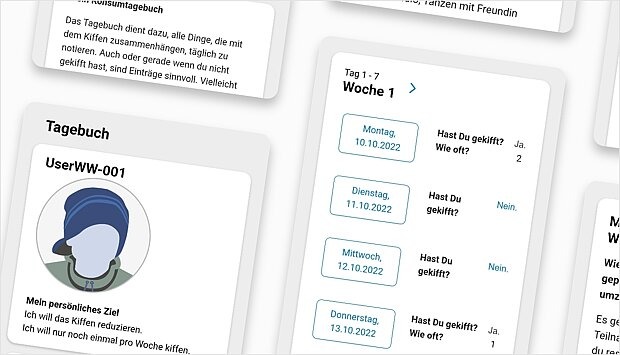 Screenshot zum Programm-Schritt: Tagebuch