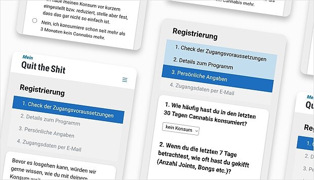 Screenshot zum Programm-Schritt: Anmeldung